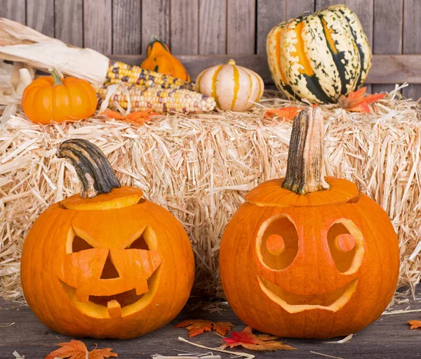 Smiling Pumpkins — Stock Photo, Image