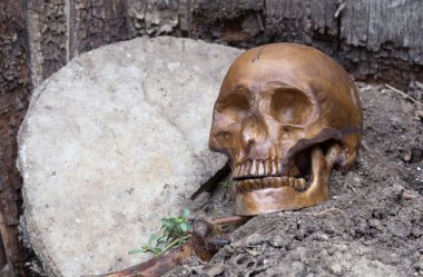 İnsan kafatası kalır