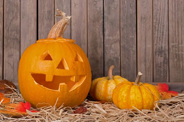 Smiling Pumpkin — Stock Photo, Image