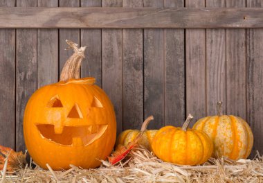 Oyulmuş kabak ve Squash