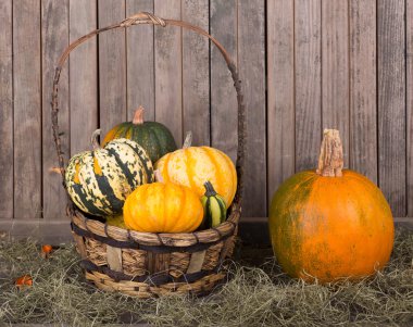 Kabak ve su kabakları sepet