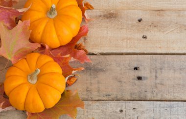 Kabaklar ve sonbahar yaprakları