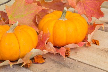 Güz pumpkins ve yaprakları