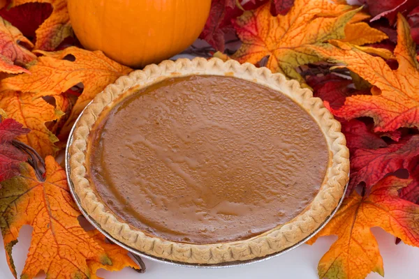 Pastel de calabaza de Acción de Gracias — Foto de Stock