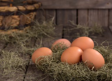 Organik kahverengi yumurta