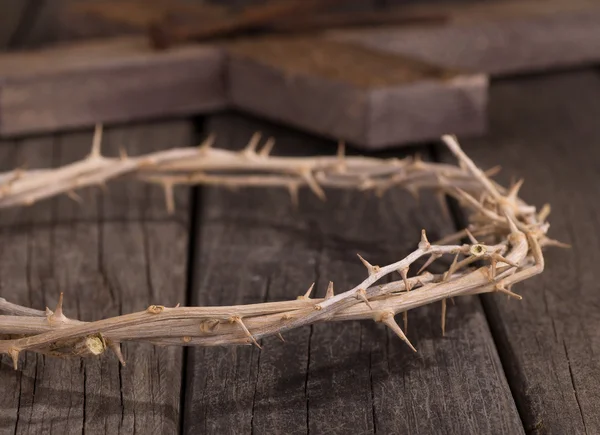 Crown of Thorns — Stock Photo, Image