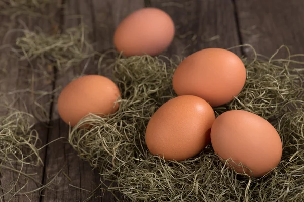 Cinque uova marroni — Foto Stock