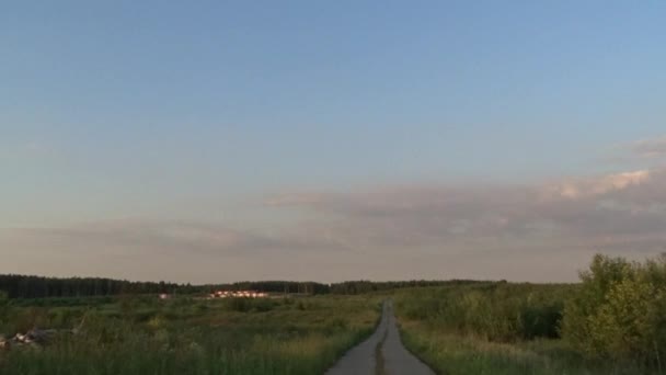 Vliegtuig landing, vlak aan de zonnige hemel. Rusland, Moskou. Aankomst in Sheremetyevo International Airport. — Stockvideo