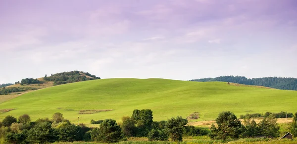 Beauty green hills in Pieniny near Cerveny Klastor — Stock Photo, Image