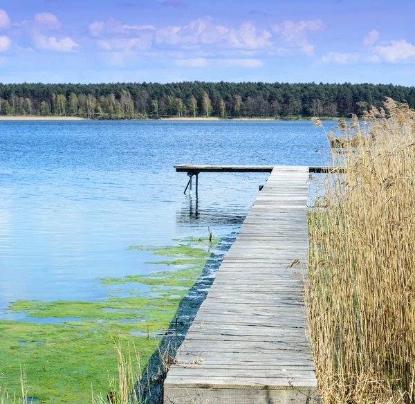 Pier no lago durante a primavera — Fotografia de Stock