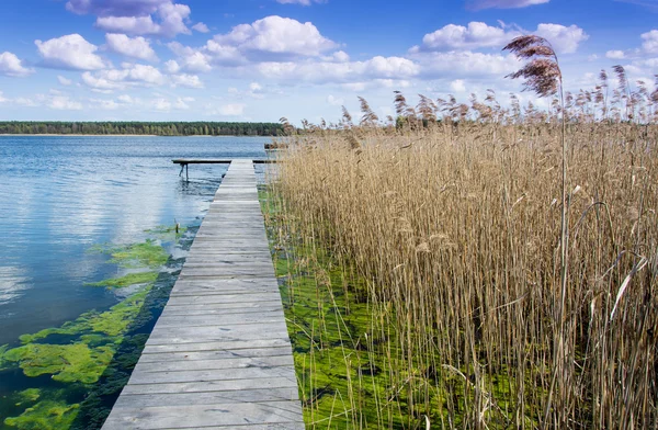 Pier no lago durante a primavera — Fotografia de Stock