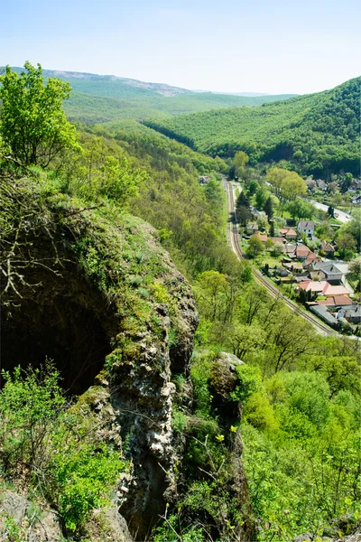 Spring forest in Beech Mountains, Hungary — Stock Photo, Image