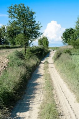 Kırsal manzara sırasında geç bahar