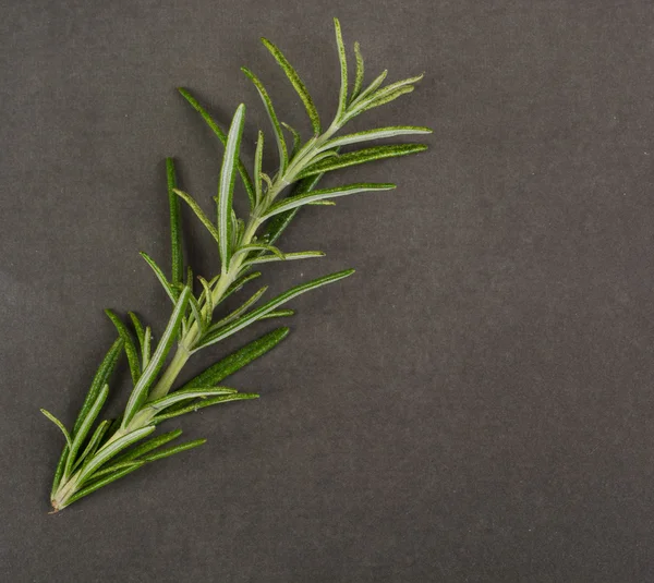 Biberiye karanlık granit gemide