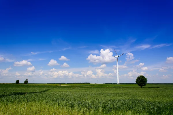 Tek rüzgar türbini ile manzara