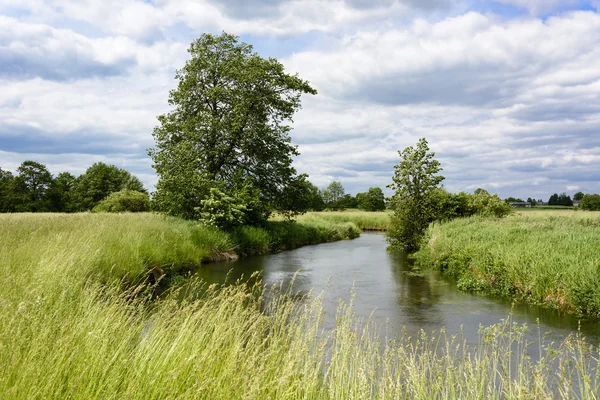 İlkbaharda Polonya'da Bystrzyca nehri