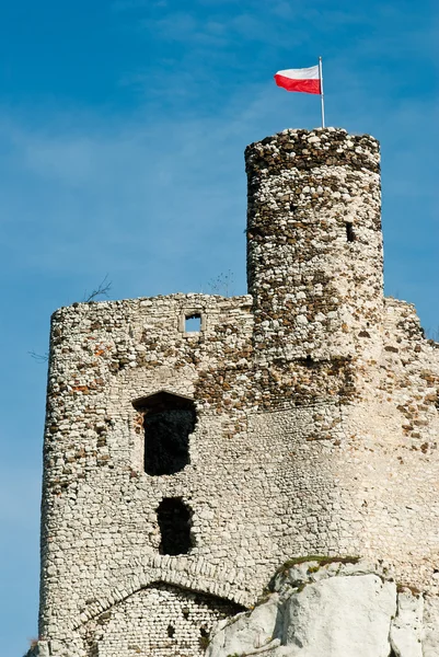 Mirow zamek — Zdjęcie stockowe