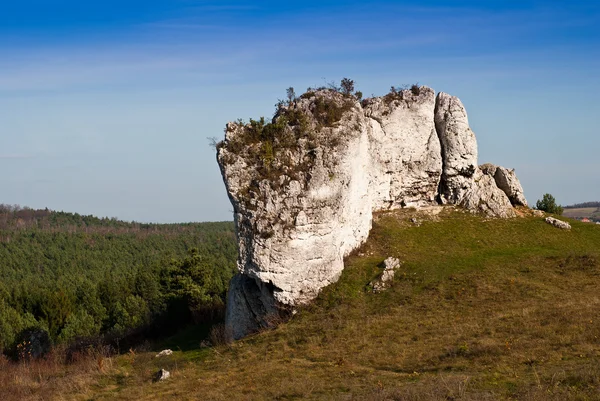 Jura Krakowsko-Czestochowska — Foto de Stock