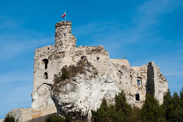 Castello di Mirow — Foto Stock
