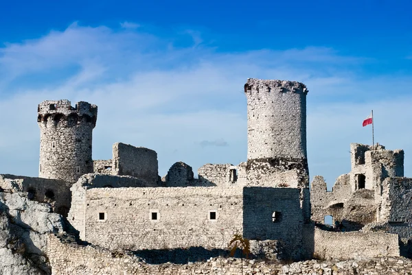 Hrad ogrodzieniec — Stock fotografie