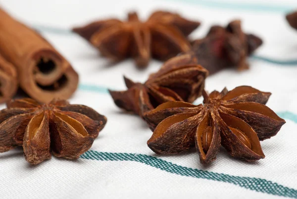 Anise and cinnamon sticks — Stock Photo, Image