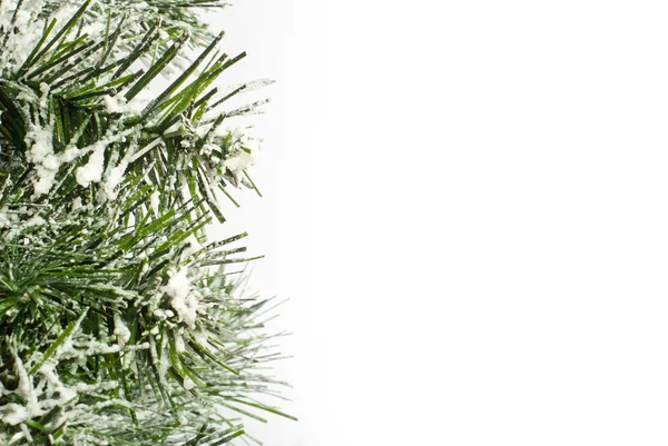 Christmas tree with snow — Stock Photo, Image