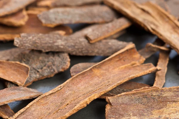 Cassia havlamaya gri masada kurutulmuş