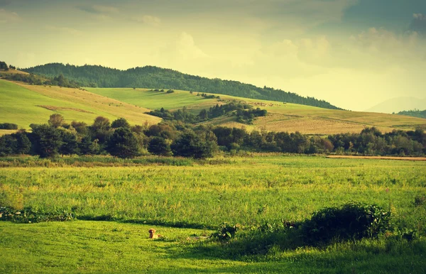 Green hills near Cerveny Klastor — Stock Photo, Image