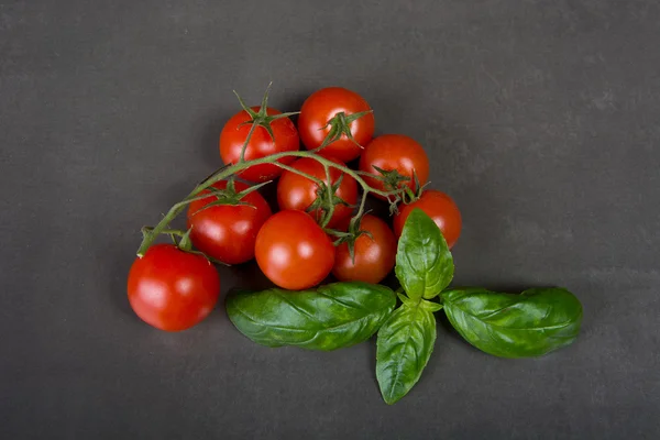 Tomates e manjericão — Fotografia de Stock