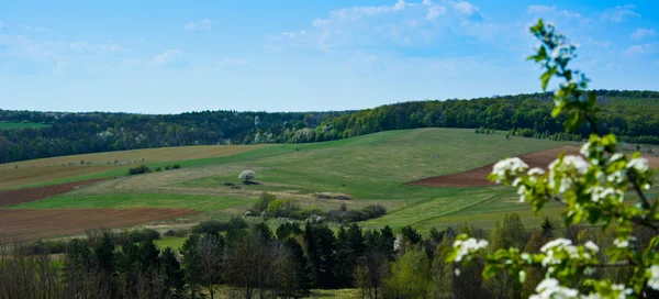 Hills — Stock Photo, Image