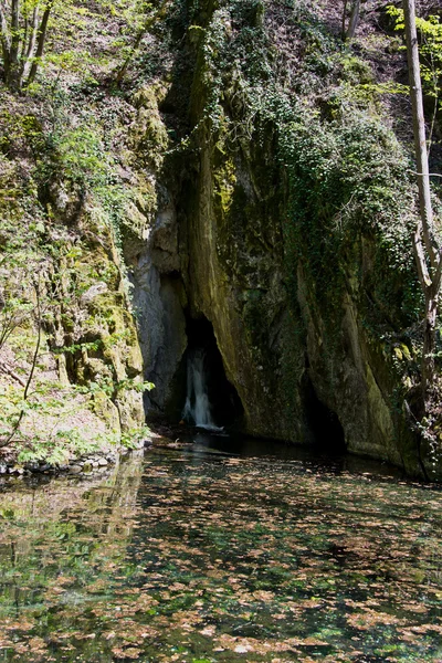 Waterfall — Stock Photo, Image