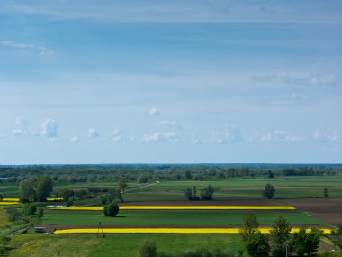Vistula Nehri Vadisi