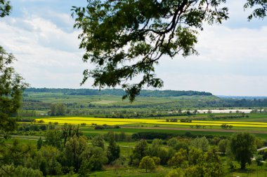 Vistula Nehri Vadisi