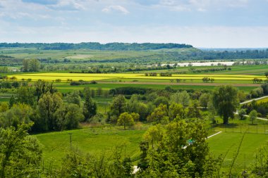 Vistula Nehri Vadisi