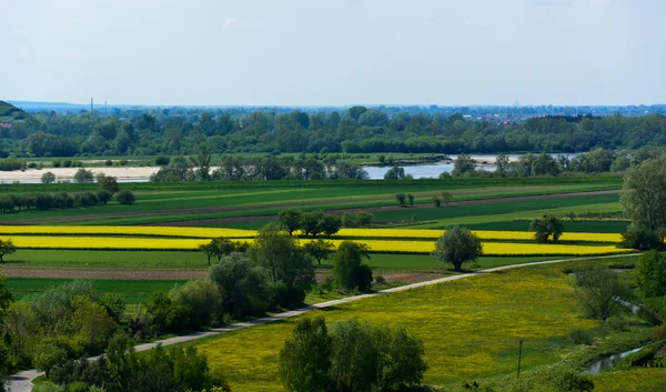 Vistula Nehri Vadisi — Stok fotoğraf