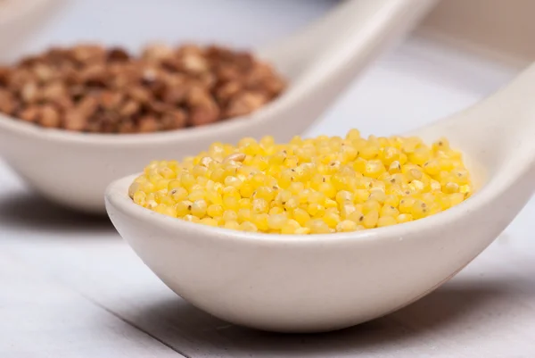 Millet groats on spoon — Stock Photo, Image