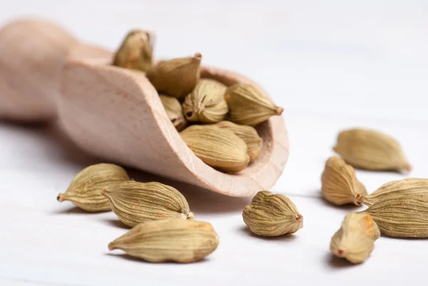 Cialde di cardamomo su sfondo bianco — Foto Stock