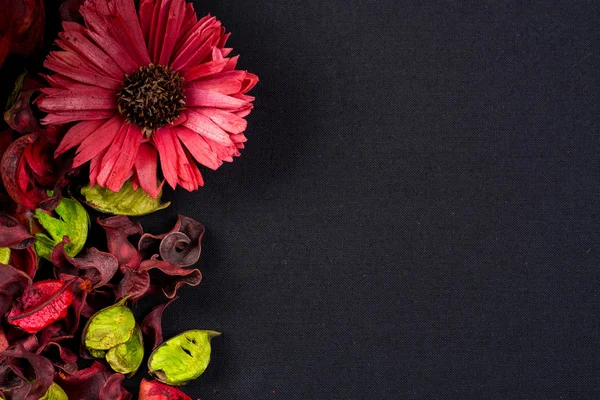 Potpourri dried flowers — Stock Photo, Image