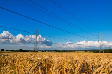 Mavi bir gökyüzü bulutlu bir alandaki bir elektrik pilon