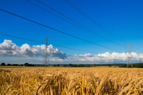 Een hoogspanningsmast in een veld tegen een blauwe hemel met wolken — Stockfoto