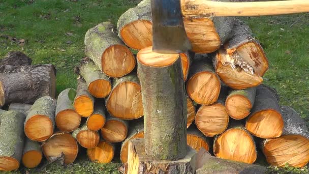 Baumstämme für Brennholz hacken — Stockvideo