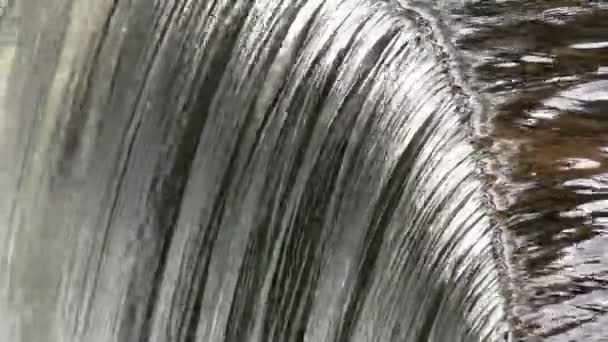 Cascade sur le ruisseau Wesley — Video