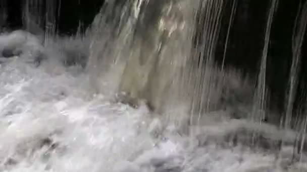 Waterval op de Wesley Brook — Stockvideo