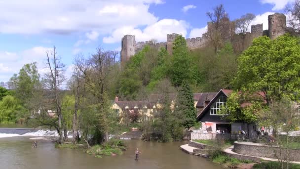 Pescadores en el río Teme por Ludlow Castle, Shropshire — Vídeos de Stock