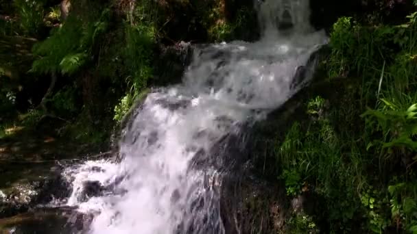 Vízesés alatt Pontcysyllte vízvezeték, Wales — Stock videók