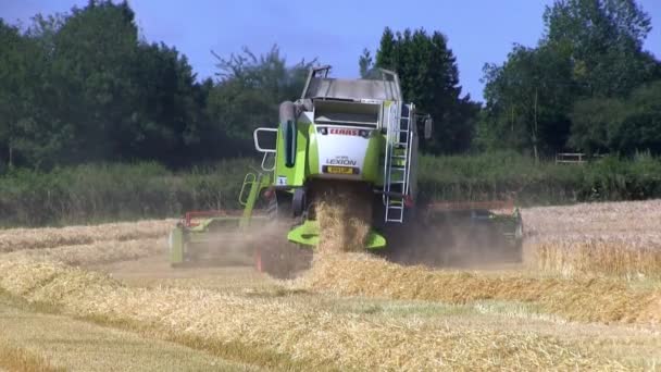 Shropshire, England - July 27th 2012: A combine harvester harvesting wheat in a field. — Stock Video