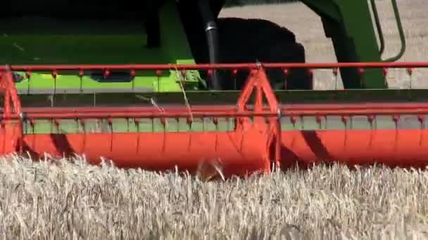 Shropshire, Inggris - 27 Juli 2012: Sebuah kombinasi panen gandum di sebuah ladang . — Stok Video