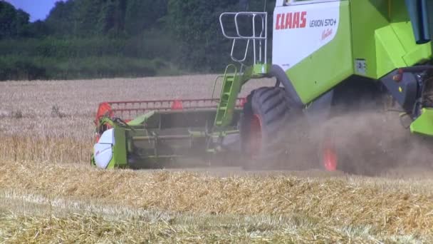 Шропшир, Англія - 27 липня 2012: Комбайн збирання пшениці в полі. — стокове відео