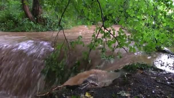 Água de inundação que flui uma cachoeira — Vídeo de Stock