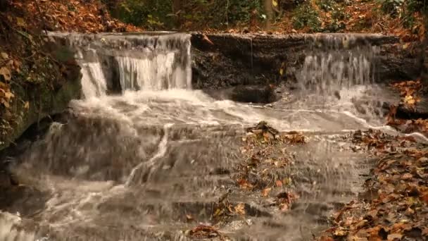 A waterfall in Autumn — Stock Video